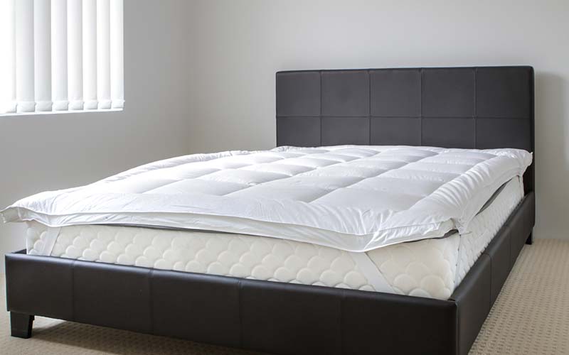 carpet cleaning in suffolk, carpet cleaning suffolk, carpet cleaners in suffolk, carpet cleaners in suffolk, commercial carpet cleaning, commercial carpet cleaning in suffolk, suffolk rug cleaners, rug cleaning services in suffolk, same day carpet cleaning, same day rug cleaning in suffolk