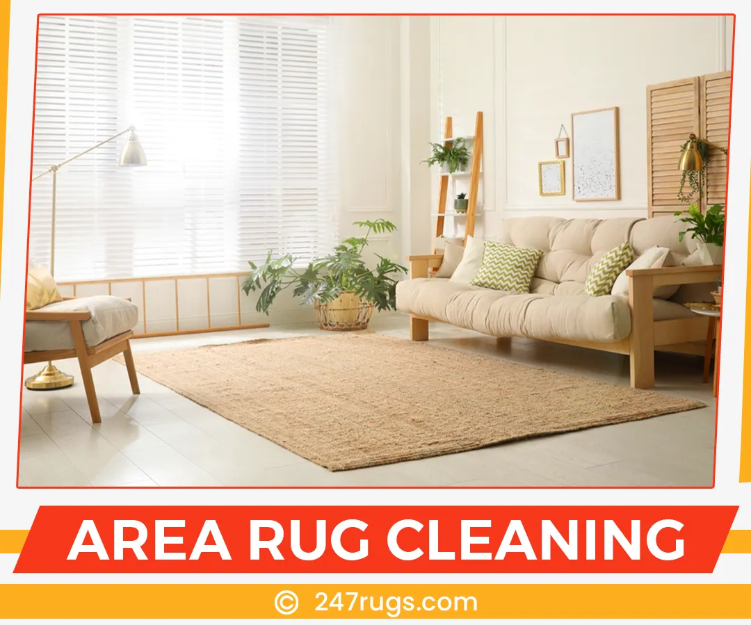 carpet cleaning in suffolk, carpet cleaning suffolk, carpet cleaners in suffolk, carpet cleaners in suffolk, commercial carpet cleaning, commercial carpet cleaning in suffolk, suffolk rug cleaners, rug cleaning services in suffolk, same day carpet cleaning, same day rug cleaning in suffolk