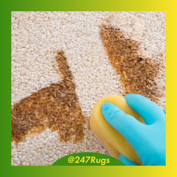 carpet cleaning in suffolk, carpet cleaning suffolk, carpet cleaners in suffolk, carpet cleaners in suffolk, commercial carpet cleaning, commercial carpet cleaning in suffolk, suffolk rug cleaners, rug cleaning services in suffolk, same day carpet cleaning, same day rug cleaning in suffolk
