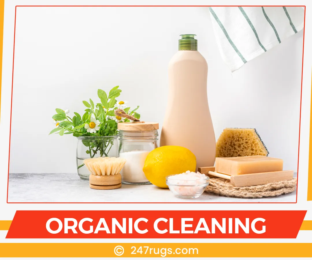 carpet cleaning in suffolk, carpet cleaning suffolk, carpet cleaners in suffolk, carpet cleaners in suffolk, commercial carpet cleaning, commercial carpet cleaning in suffolk, suffolk rug cleaners, rug cleaning services in suffolk, same day carpet cleaning, same day rug cleaning in suffolk