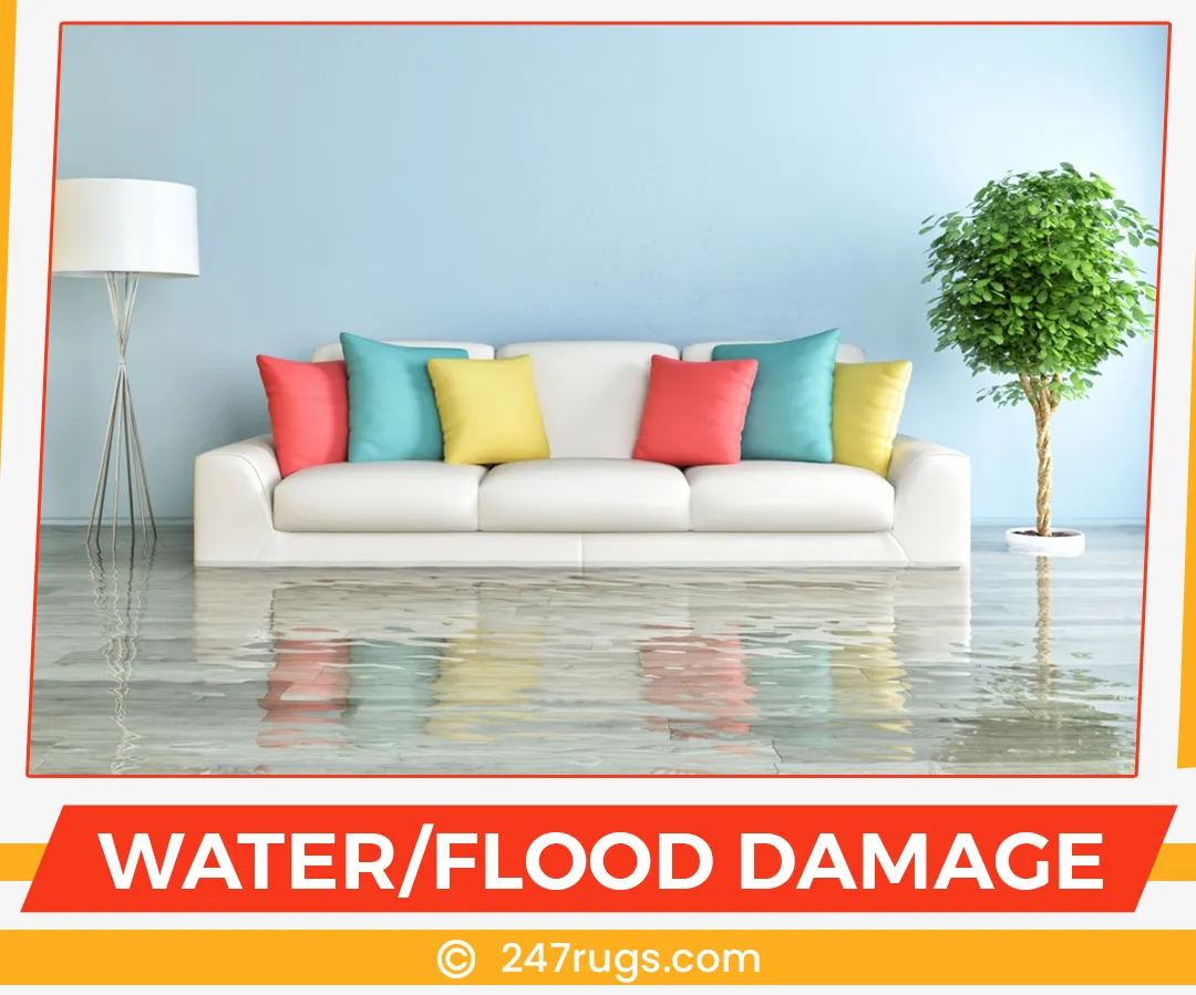 carpet cleaning in suffolk, carpet cleaning suffolk, carpet cleaners in suffolk, carpet cleaners in suffolk, commercial carpet cleaning, commercial carpet cleaning in suffolk, suffolk rug cleaners, rug cleaning services in suffolk, same day carpet cleaning, same day rug cleaning in suffolk